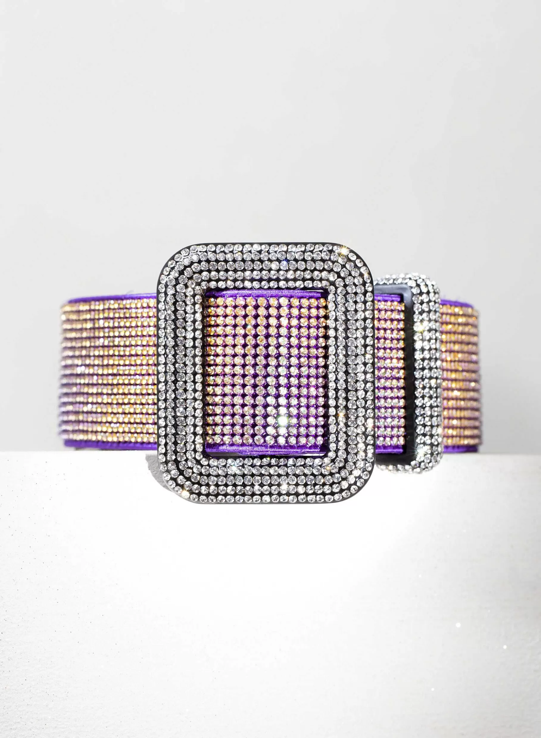 Benedetta Bruzziches Venus Belt The Living Daylight> Belts